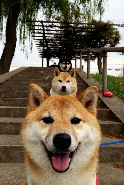 Kaiyun官方登录入口-“西甲老牌强队奋起直追，争冠榜上名次不断变动”，西甲老将