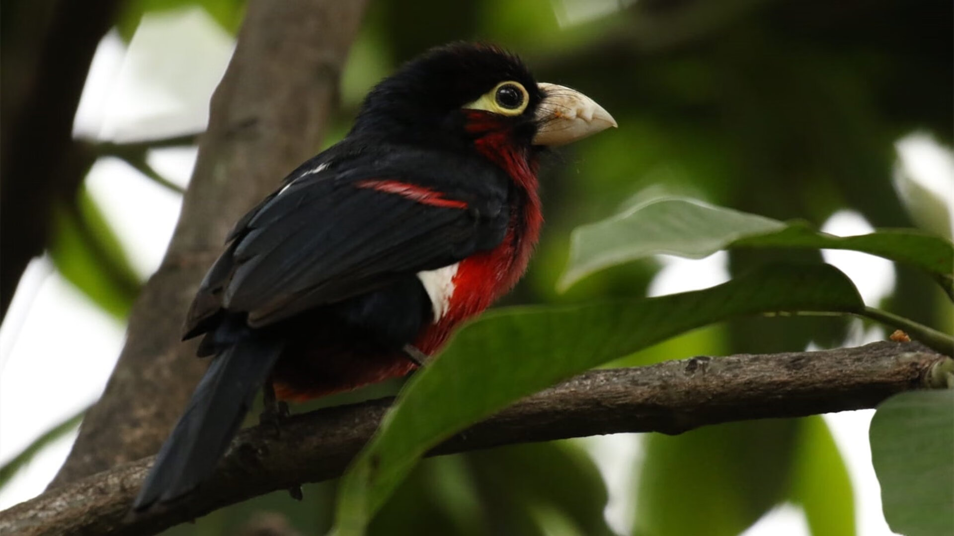 开云官网APP下载-【运动员成长】青年选手崭露头角，成未来希望，青年运动员的故事