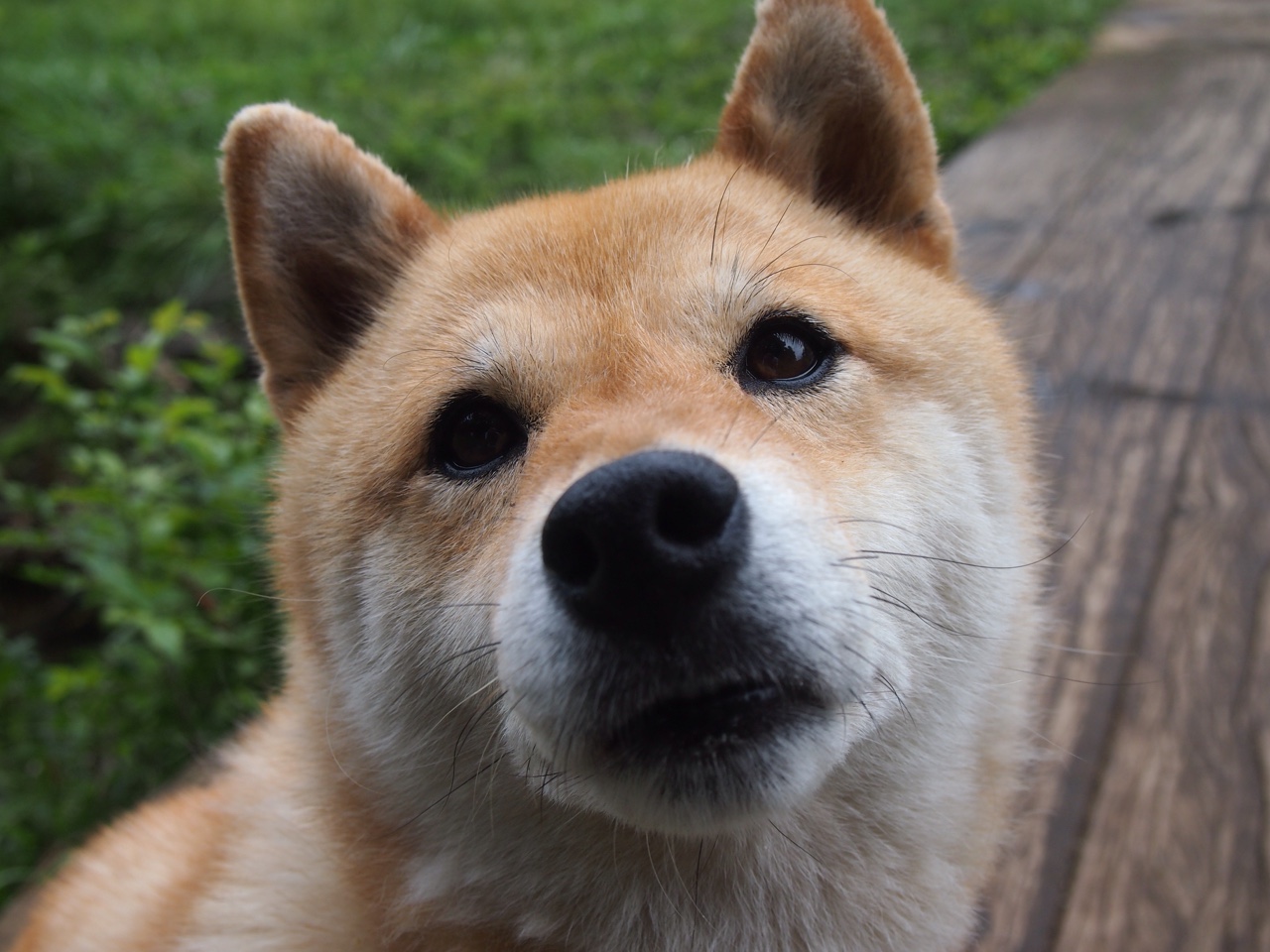 开云中国-塞内加尔队在巴黎奥运会比赛中多次通过快速反击得分，塞内加尔队大名单